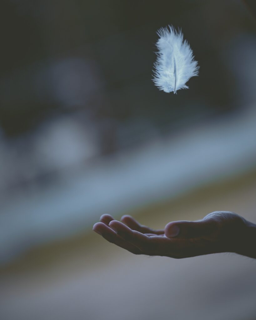 feather drifting out of a person's hand used to represent the art of detachment