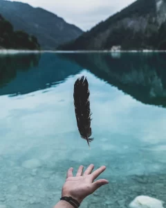 illusion of control and letting go shown through a hand letting go of a feather over a calm lake